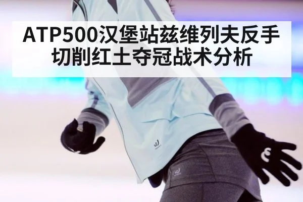 ATP500汉堡站兹维列夫反手切削红土夺冠战术分析